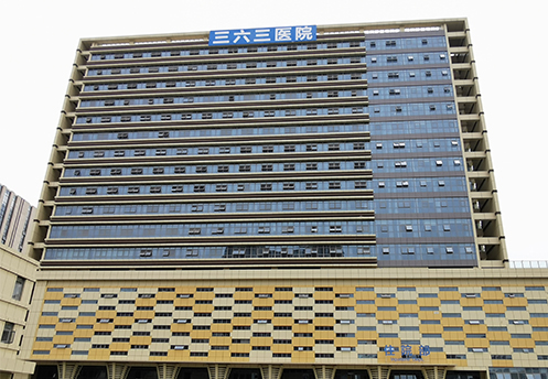 363 Hospital